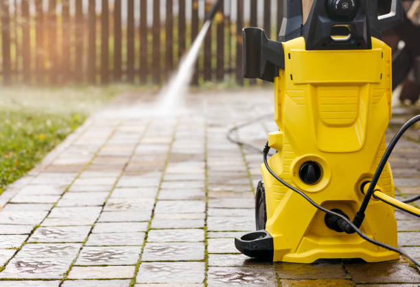 Best Solar Panel Cleaning  in Palestine, TX